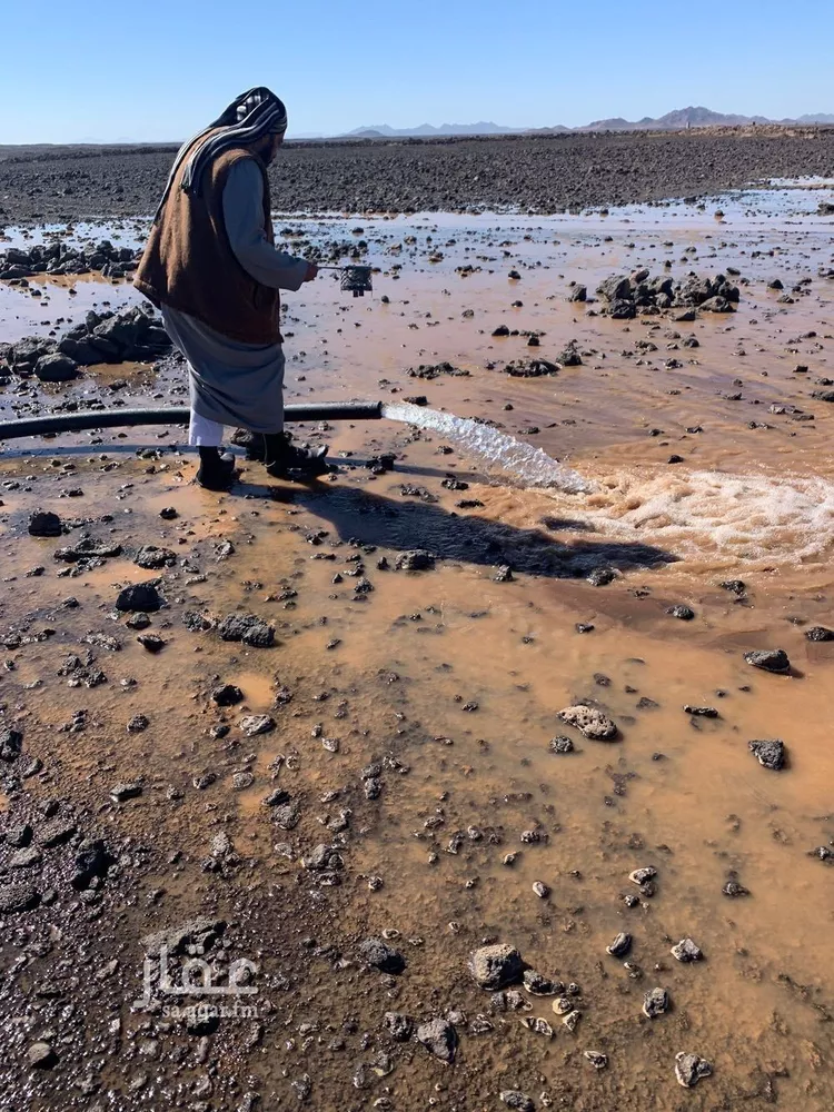 Farm for Sale in Khaybar Al Faisaliah