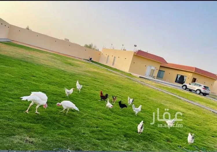 شاليه واستراحة للحجز في شارع العماريه 329 ، العمارية ، الدرعية 15