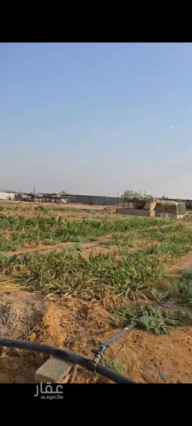 Farm for rent in Al Kharj Az Zahir