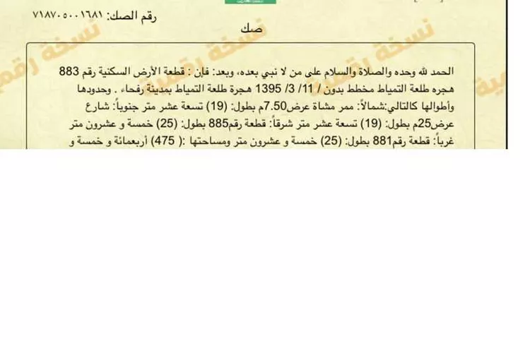 أرض للبيع في شارع طلعه التمياط 79 ، التمياط ، رفحاء