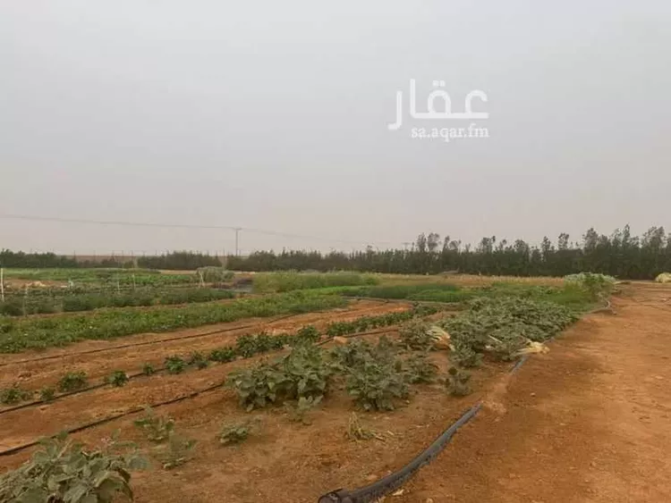 أرض للبيع في مدينة الجلة, منطقة الرياض صورة 3