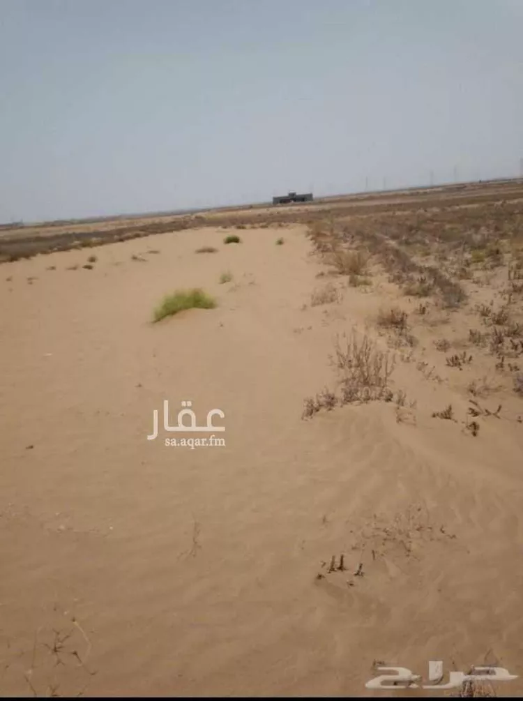 أرض للبيع في طريق الملك فيصل بن عبد العزيز ، المقيدر ، ابو عريش صورة 3