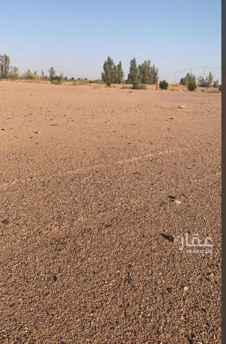 أرض للإيجار في الروضة ، الرين