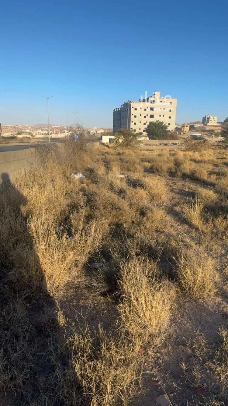 Land for Sale in Ahad Rufaidah Az Zuhur 6