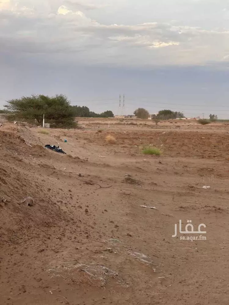 أرض للبيع في شارع الغنيم, حي العسيله, مدينة العسيله, منطقة جازان صورة 3