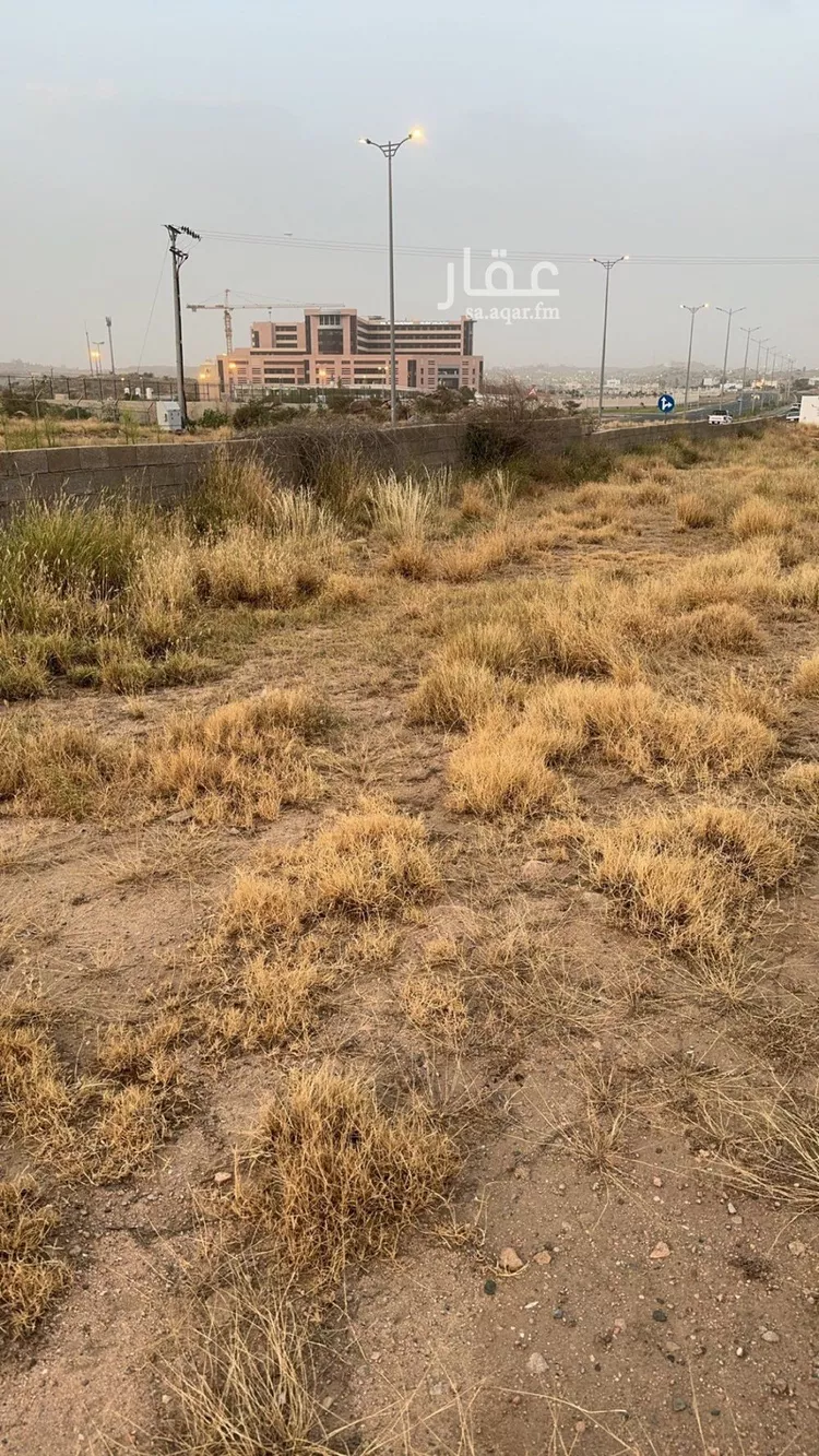 Land for Sale in Ahad Rufaidah Az Zuhur 9