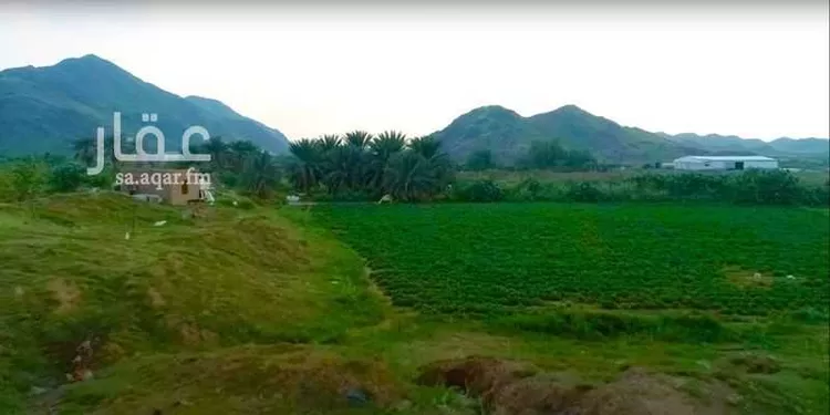 مزرعة للبيع في شارع حارثة بن الربيع الأنصاري, حي ام هشيم, مدينة ام هشيم, منطقة مكة المكرمة