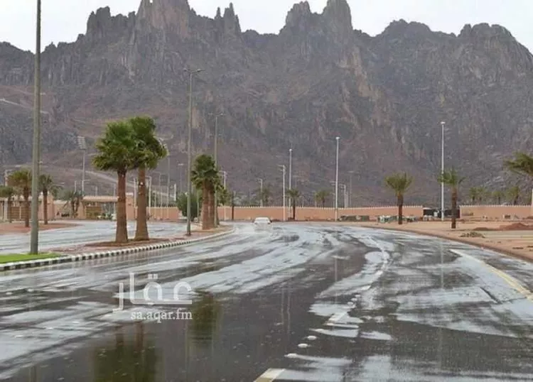 أرض للبيع في شارع فيصل ابن محمد ابن سعود ابن عبدالعزيز ، حي بقعاء الشرقية ، بقعاء ، بقعاء صورة 4