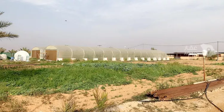 مزرعة للبيع في شارع الملك عبدالله ابن عبدالعزيز سعود, حي ج1, مدينة حريملاء, منطقة الرياض 9