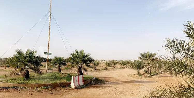 مزرعة للبيع في شارع الملك عبدالله ابن عبدالعزيز سعود, حي ج1, مدينة حريملاء, منطقة الرياض 15