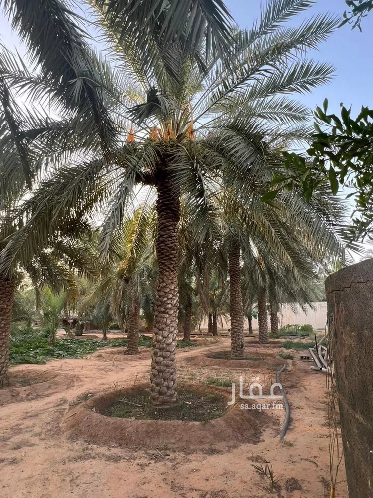 فيلا للبيع في شارع عبد المحسن الطوسي, حي الروابي, مدينة عنيزة, منطقة القصيم صورة 3