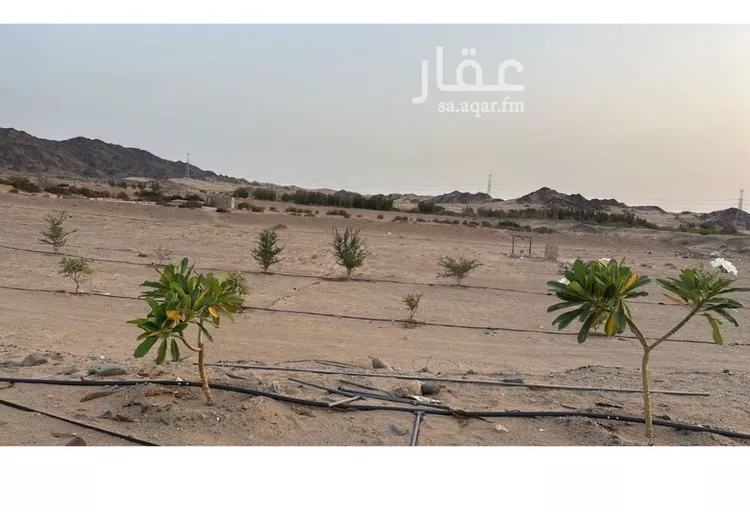 مزرعة للبيع في مدينة خليص, منطقة مكة المكرمة 8