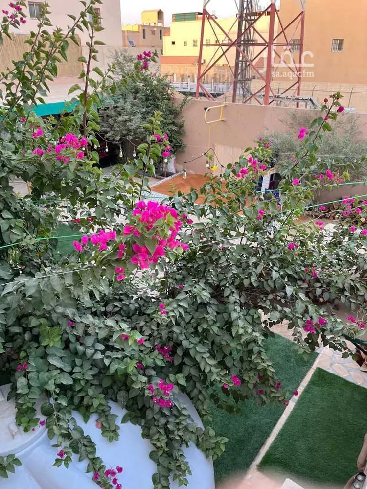 محل للإيجار في شارع الامير عبدالله بن عبدالرحمن, حي ظهرة العودة شرق, مدينة امارة منطقة الرياض - الدرعيه, منطقة الرياض صورة 2