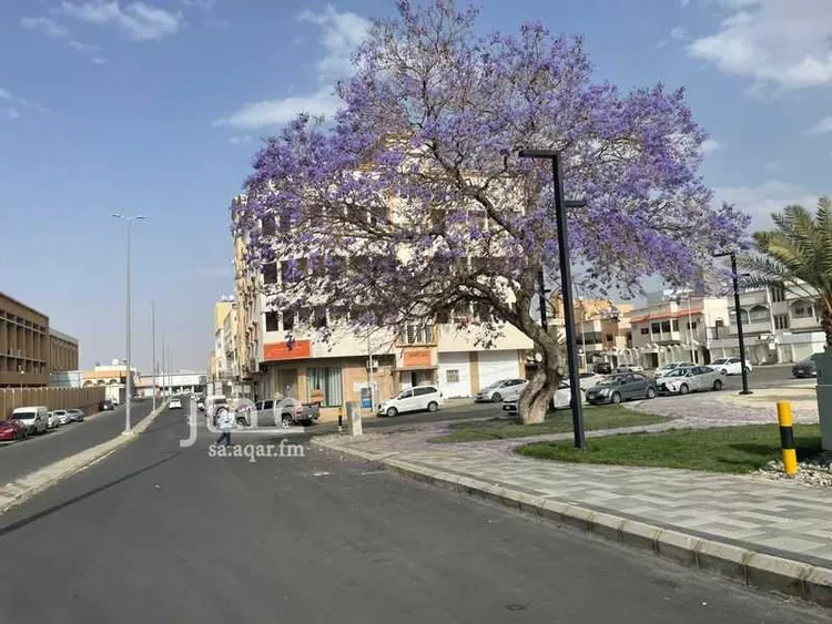 شقة للإيجار في شارع بريدة, حي ضمك, مدينة خميس مشيط, منطقة عسير