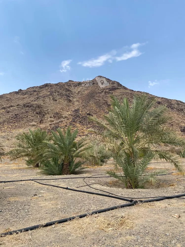 Farm for rent in Medina As Sikkah Al Hadid