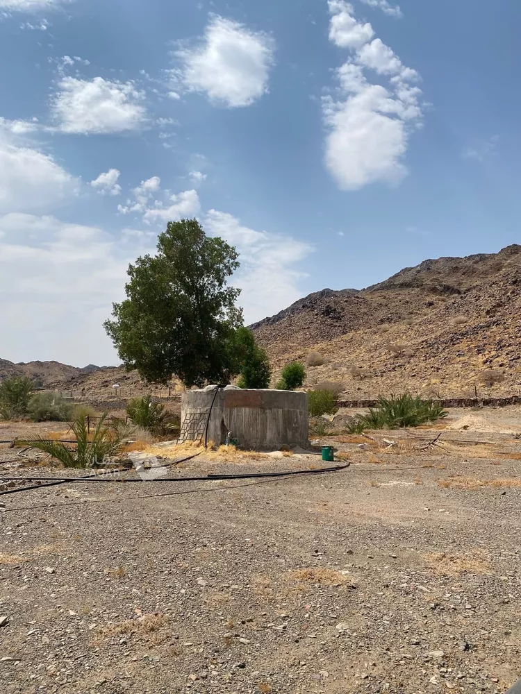Farm for rent in Medina As Sikkah Al Hadid صورة 3