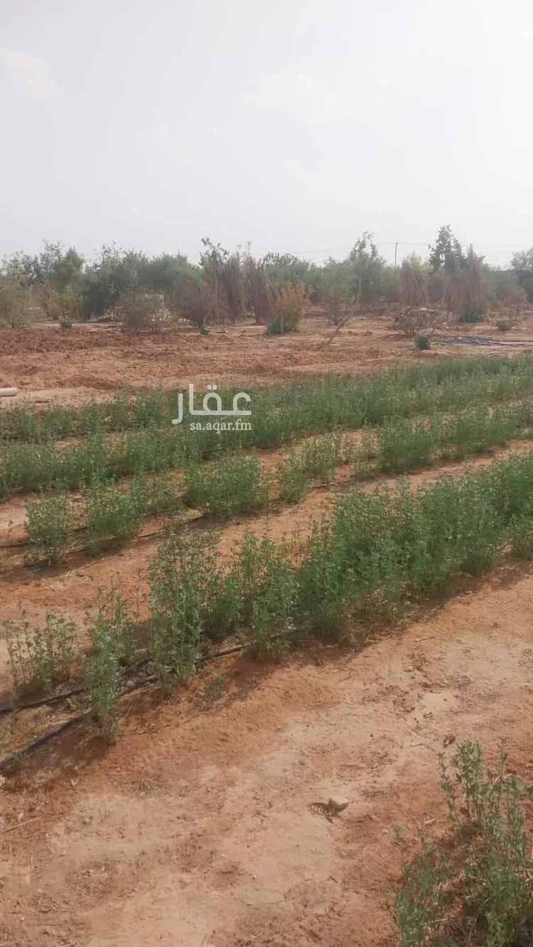 مزرعة للبيع في شارع   1, حي الحزم والبطينه, مدينة الحزم والبطينه, منطقة الرياض صورة 5
