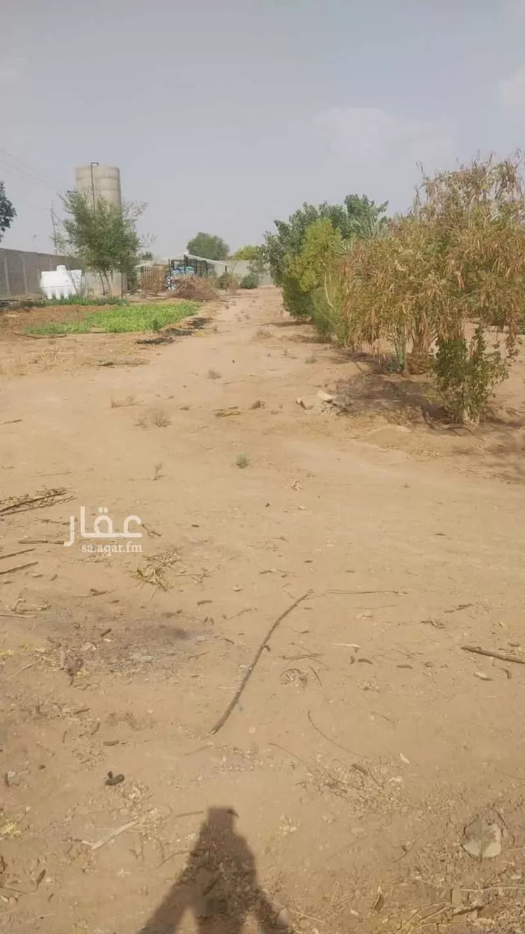 مزرعة للبيع في شارع   1, حي الحزم والبطينه, مدينة الحزم والبطينه, منطقة الرياض صورة 2