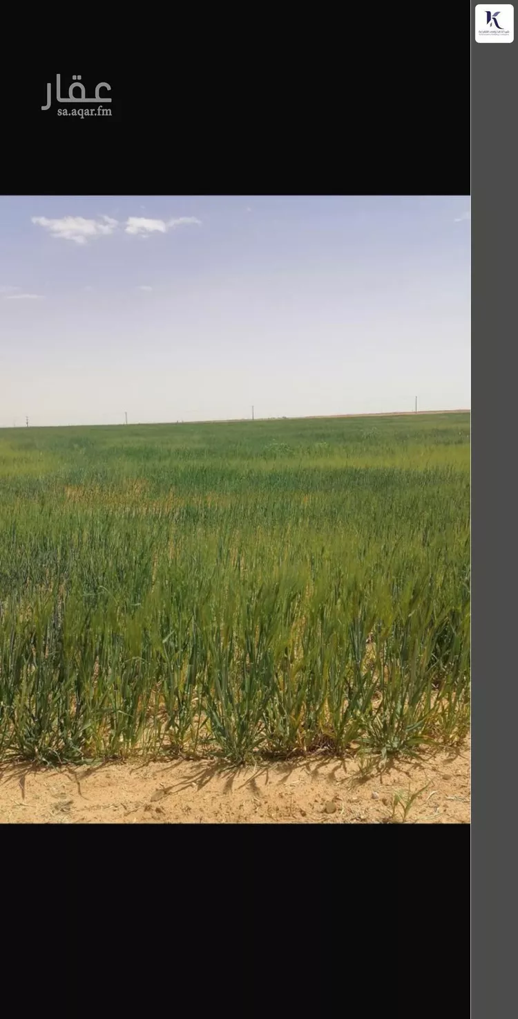 أرض للبيع في حي مزارع شمال تيماء (جريش), مدينة مزارع شمال تيماء (جريش), منطقة تبوك صورة 5
