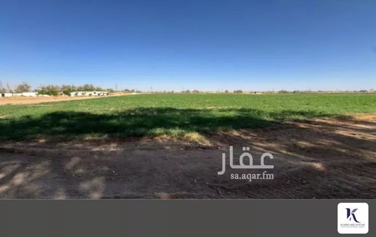 مزرعة للبيع في شارع    0, مدينة دمج, منطقة تبوك صورة 2