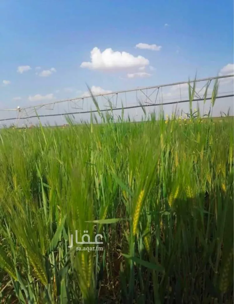 Land for Sale in Tayma Al Qaa