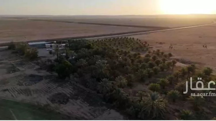 مزرعة للبيع في شارع 000, مدينة الغاط, منطقة الرياض صورة 3