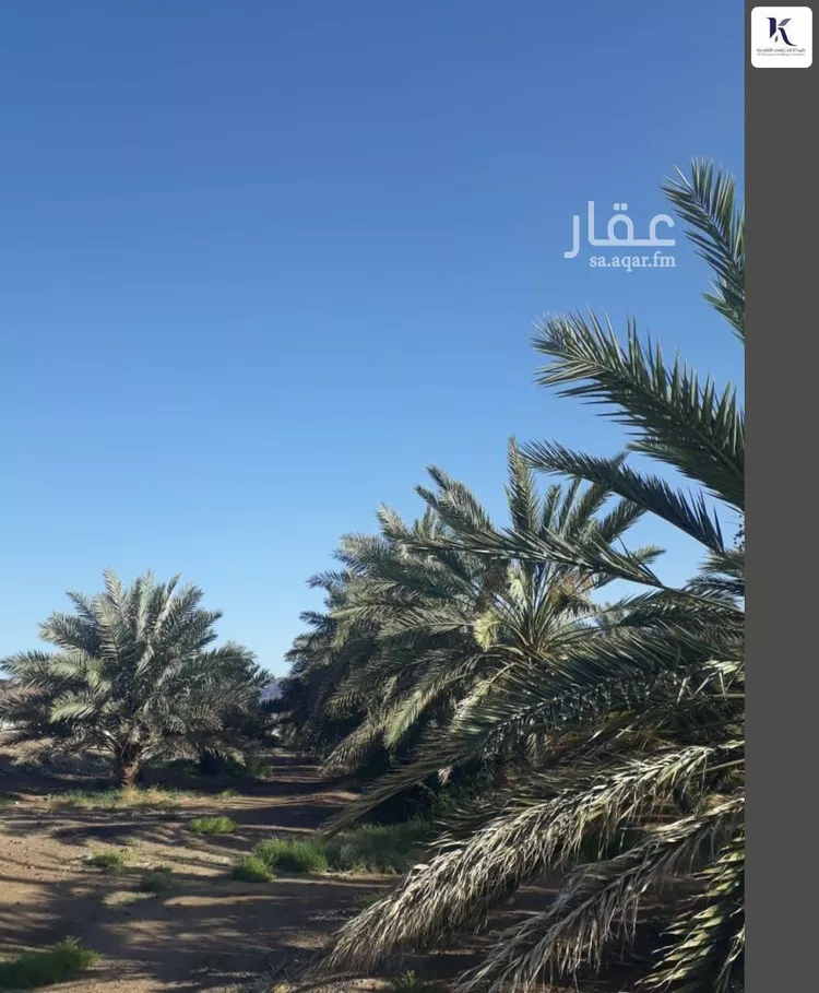 Farm for Sale in Medina Al Ghabah