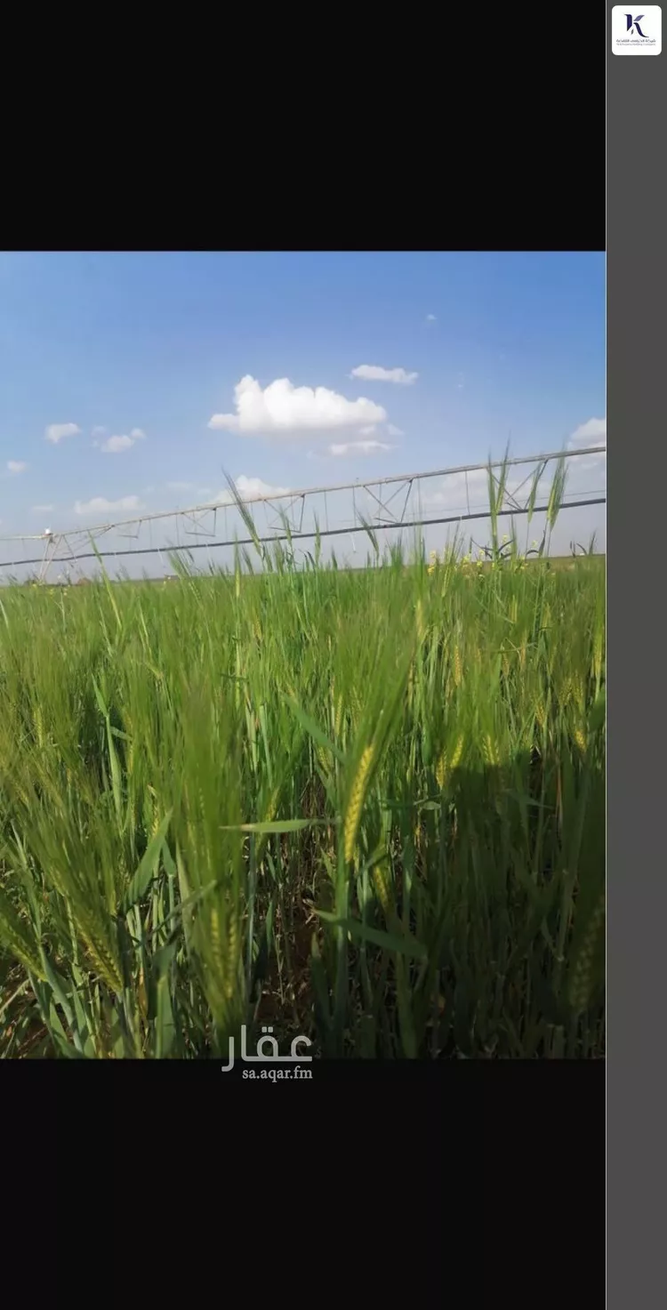 أرض للبيع في حي مزارع شمال تيماء (جريش), مدينة مزارع شمال تيماء (جريش), منطقة تبوك صورة 3
