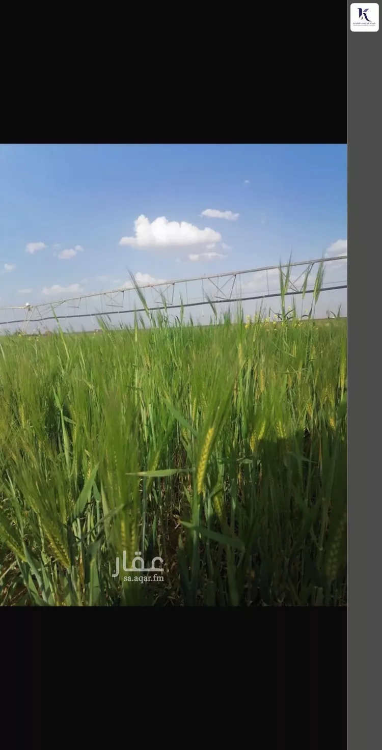 أرض للبيع في حي مزارع شمال تيماء (جريش), مدينة مزارع شمال تيماء (جريش), منطقة تبوك 7