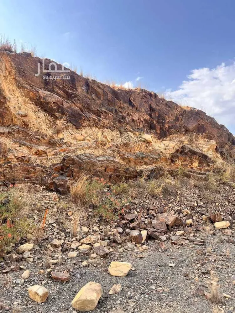 أرض للبيع في شارع جبير بن نوفل, حي الفيحاء, مدينة ال مرزوق, منطقة الباحة صورة 2