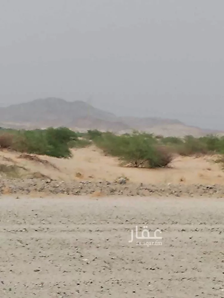 أرض للبيع في شارع السرح, حي شعب عامر , مدينة مكه المكرمه, منطقة مكة المكرمة صورة 3