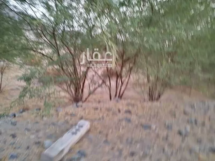 أرض للبيع في شارع السرح, حي شعب عامر , مدينة مكه المكرمه, منطقة مكة المكرمة صورة 2