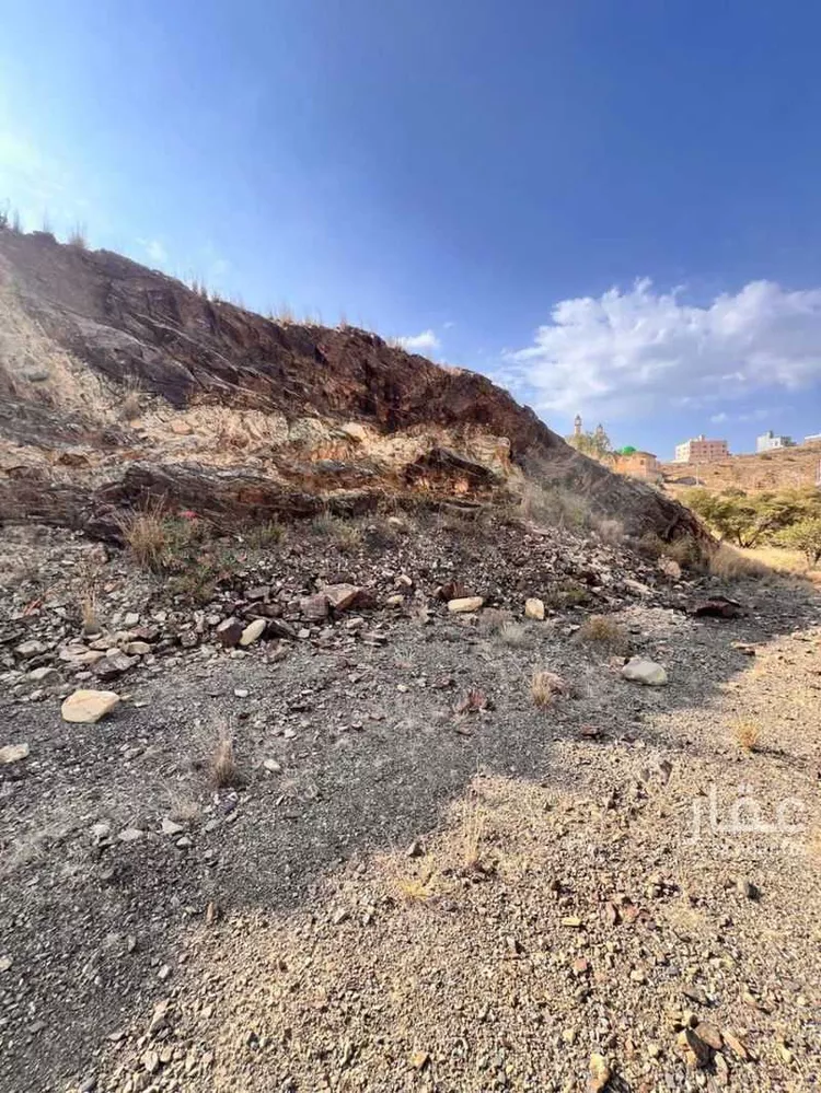 أرض للبيع في شارع جبير بن نوفل, حي الفيحاء, مدينة ال مرزوق, منطقة الباحة