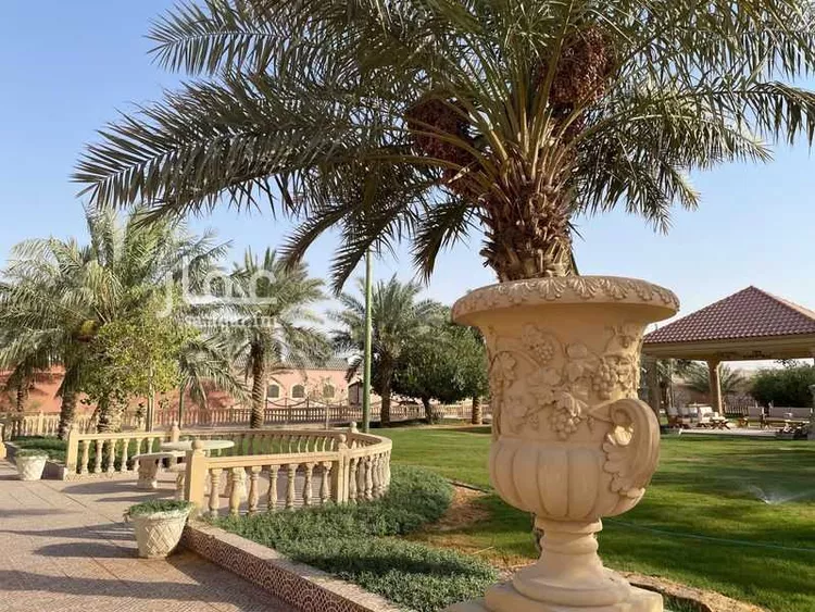شاليه واستراحة للحجز في المغرفية ، ضرما صورة 2