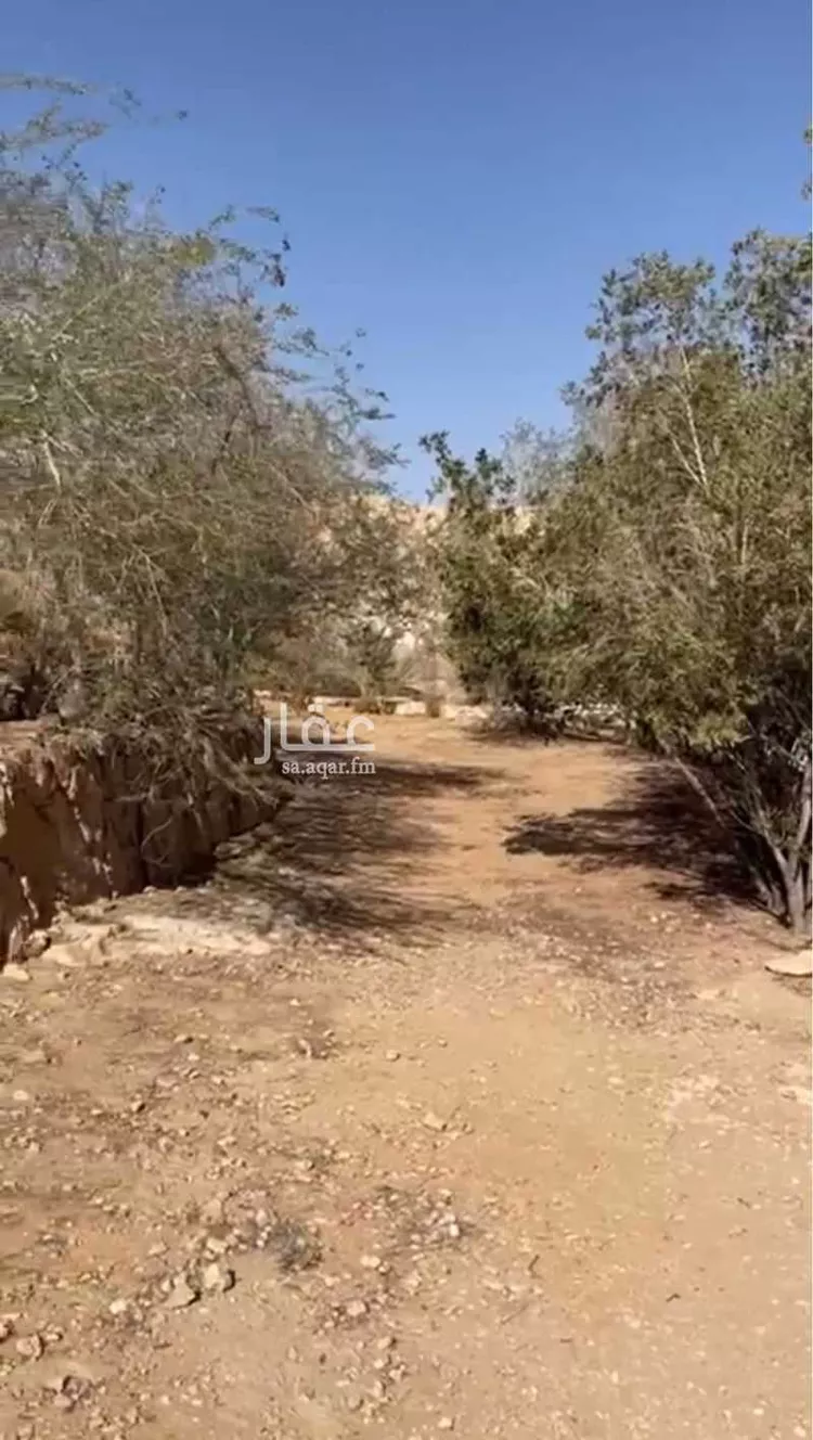 مزرعة للبيع في شارع العماريه 218, مدينة العماريه, منطقة الرياض صورة 5