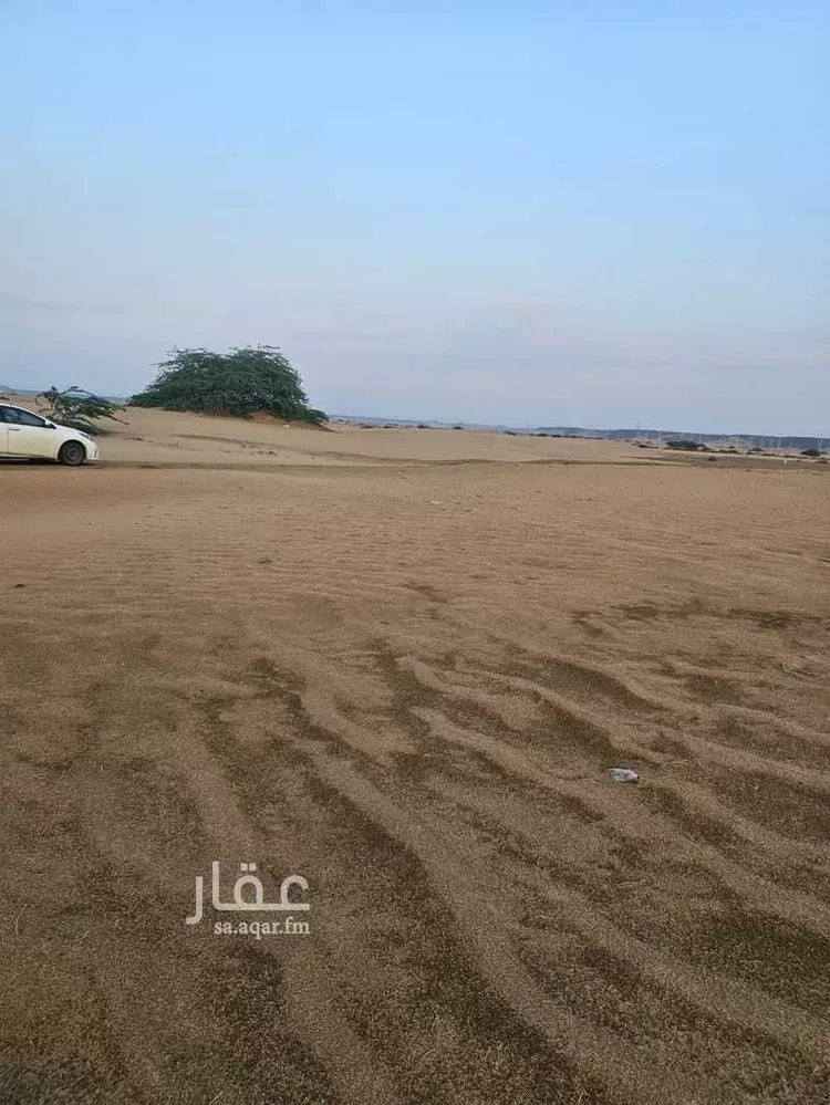 أرض للبيع في حي المجد, مدينة جدة, منطقة مكة المكرمة صورة 2