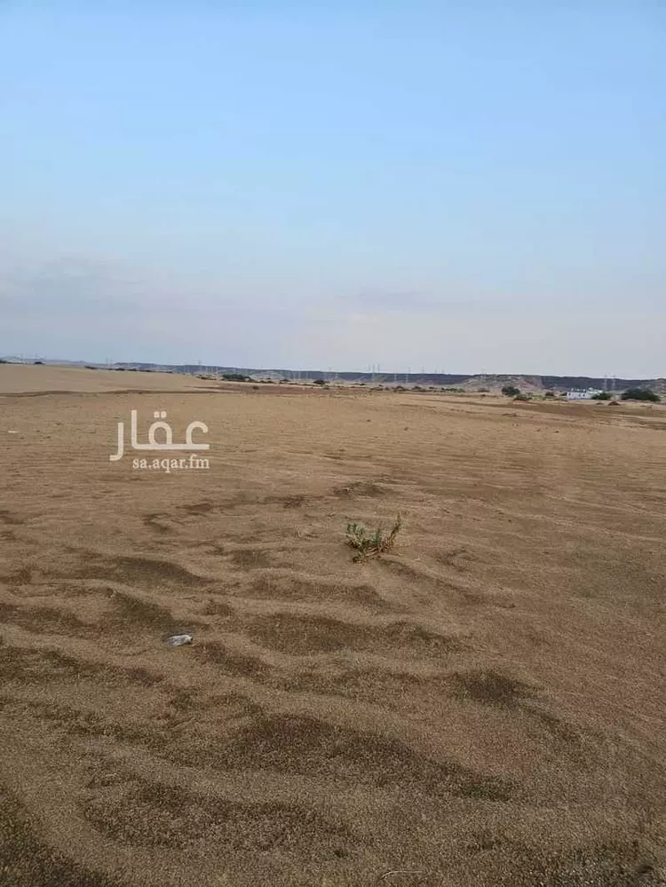 أرض للبيع في حي المجد, مدينة جدة, منطقة مكة المكرمة صورة 3