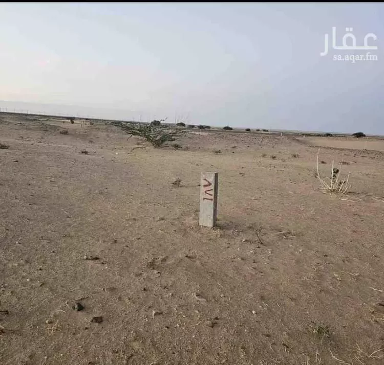 أرض للبيع في حي المجد, مدينة جدة, منطقة مكة المكرمة صورة 3