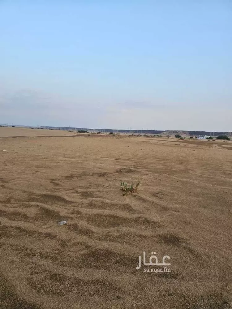 أرض للبيع في حي الشرائع, مدينة جدة, منطقة مكة المكرمة صورة 2