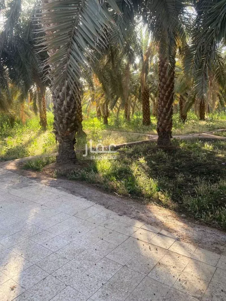 Farm for rent in Medina As Sadiqiyyah صورة 2