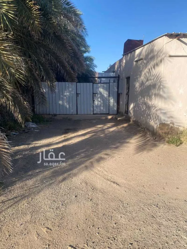 Farm for rent in Medina As Sadiqiyyah صورة 4