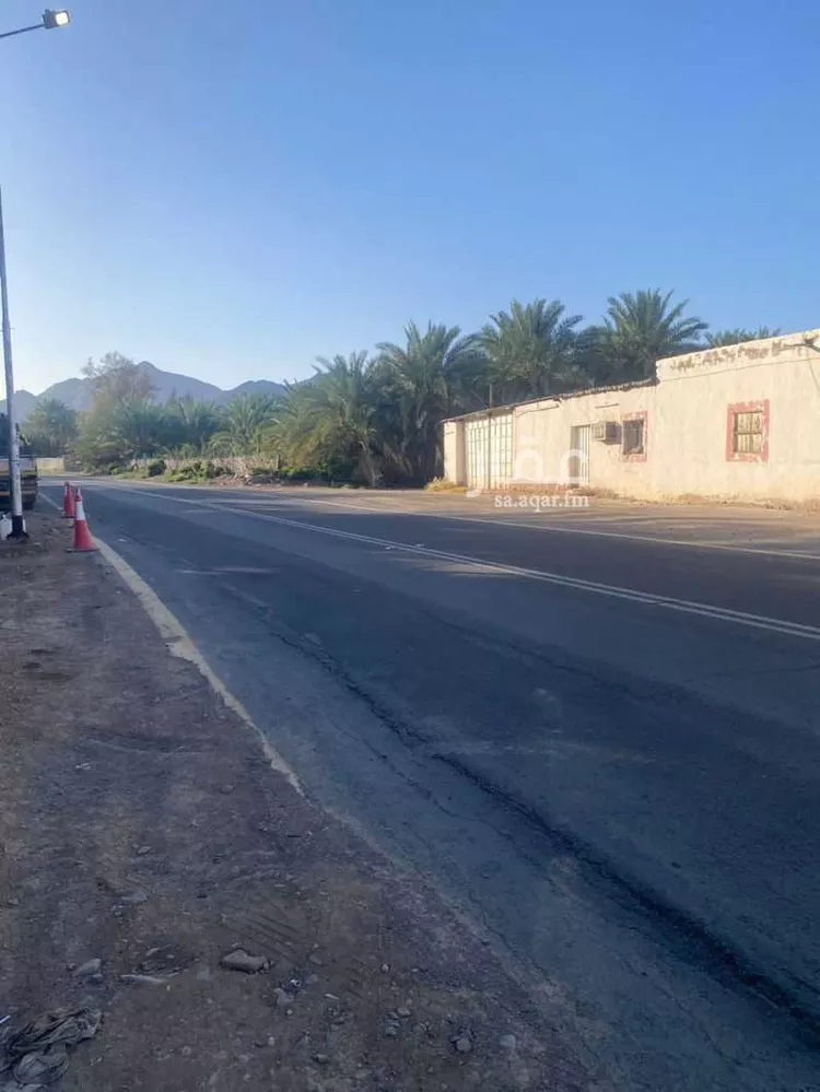Farm for rent in Medina As Sadiqiyyah صورة 5