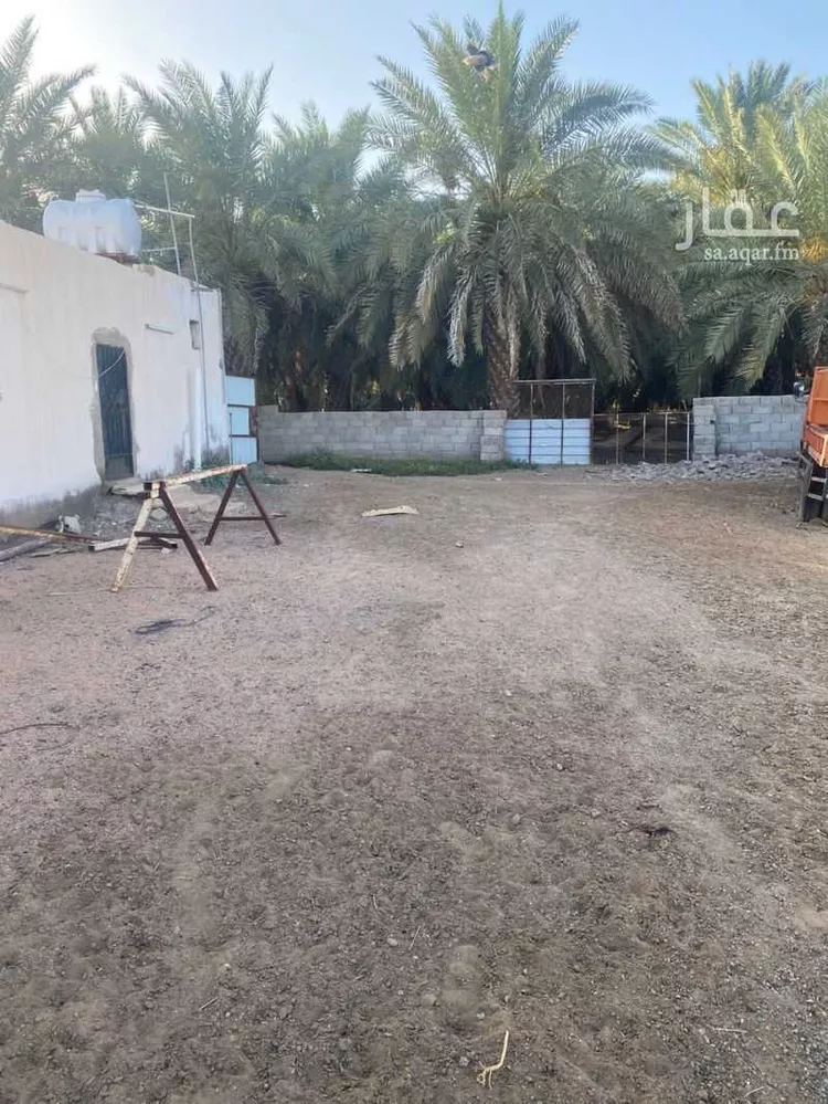 Farm for rent in Medina As Sadiqiyyah صورة 3