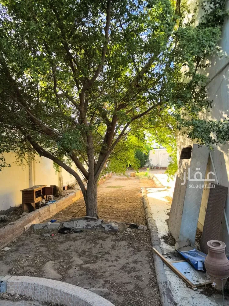 فيلا للإيجار في شارع قيس ابن عبادة, حي الأمير فواز الشمالى, مدينة جدة, منطقة مكة المكرمة