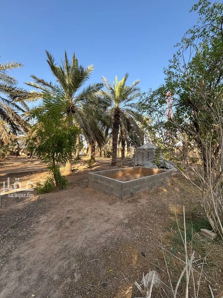 مزرعة للبيع في حي سماح, مدينة عنيزه, منطقة القصيم صورة 4