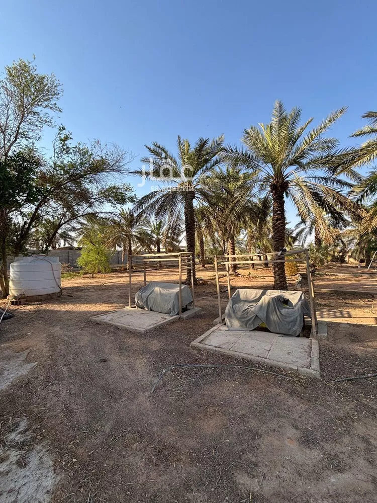 مزرعة للبيع في حي سماح, مدينة عنيزه, منطقة القصيم صورة 5