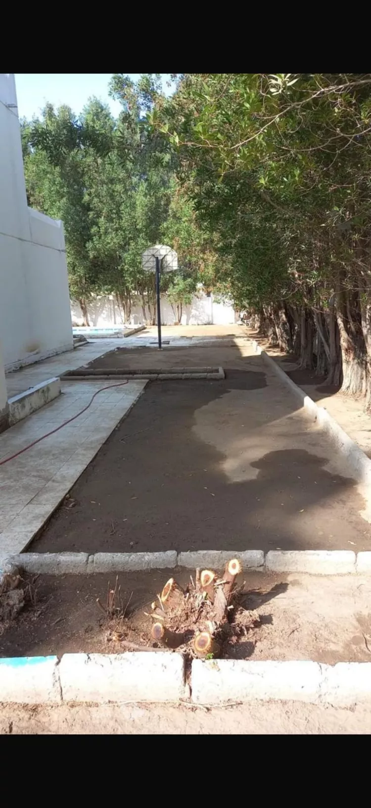 فيلا للبيع في شارع عبدالوهاب البصري, حي الأمير فواز الجنوبى, مدينة جدة, منطقة مكة المكرمة 5