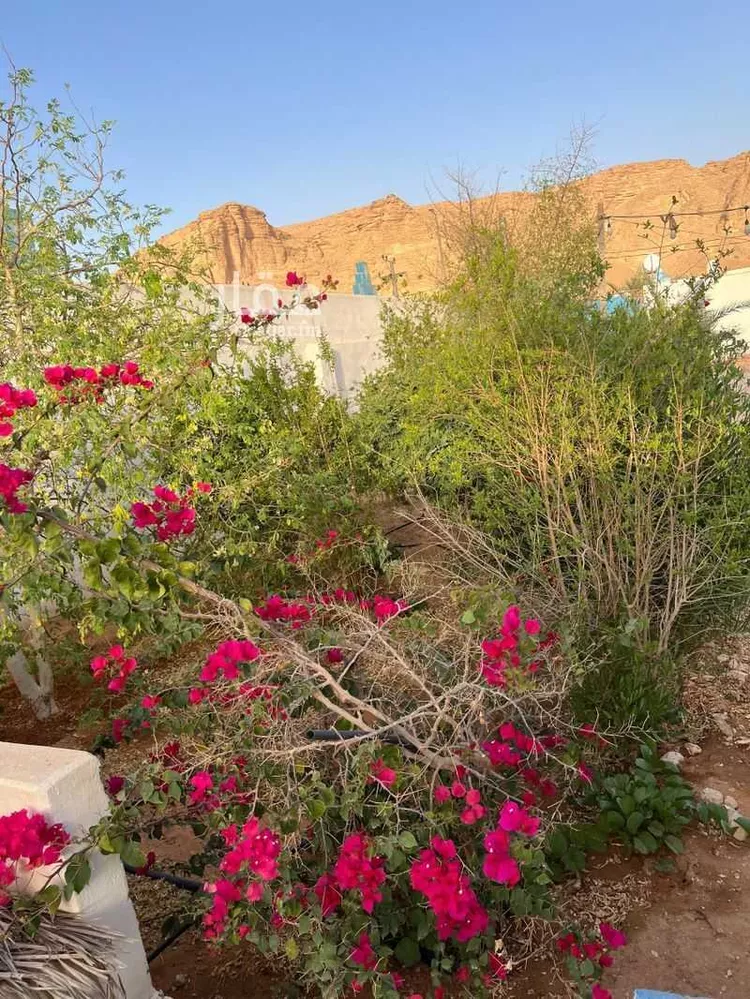 استراحة للإيجار في شارع قصور ال مقبل 34 ، الرياض ، ضرما صورة 4