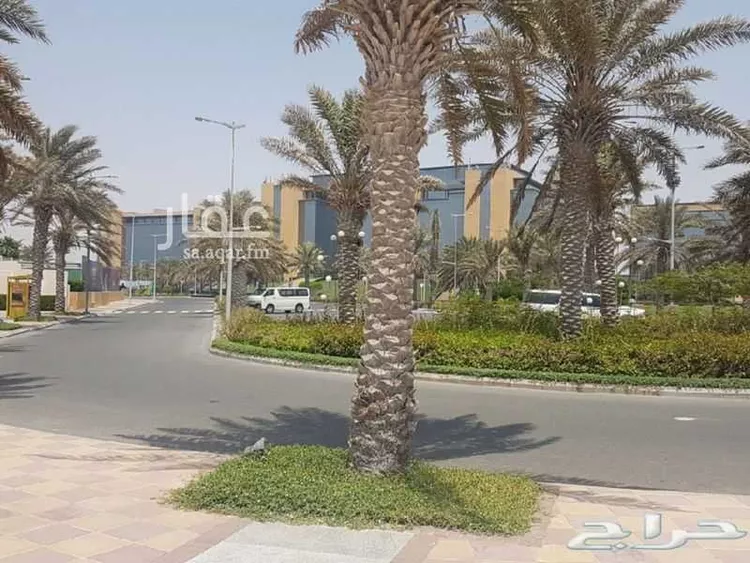 أرض للبيع في شارع القيقب ، حي التالة ، مدينة الملك عبد الله الاقتصادية ، رابغ