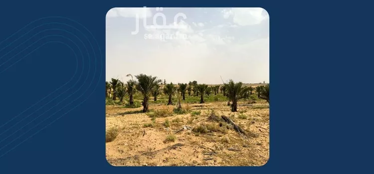 مزرعة للبيع في شارع ترابي, حي ساق, مدينة ساق, منطقة القصيم